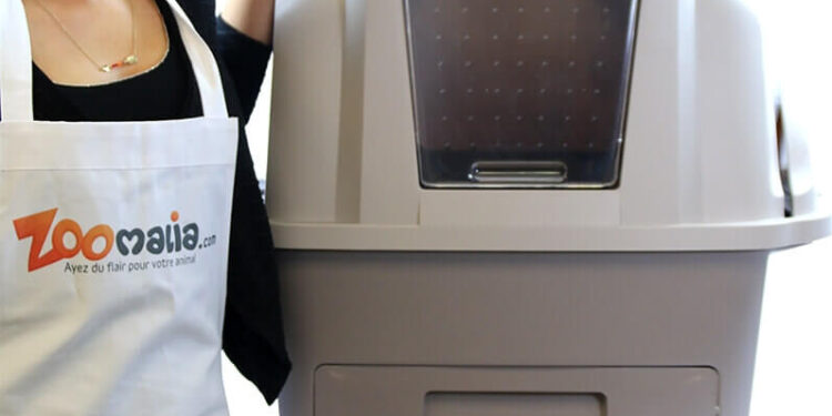 Quelle maison de toilette pour Maine Coon ?