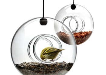 Quelle mangeoire pour mésanges ?