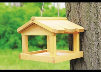 Quelle mangeoire pour mésanges ?