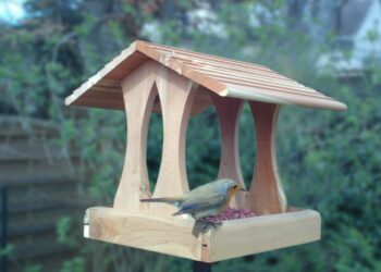 Quelle mangeoire pour mésanges ?