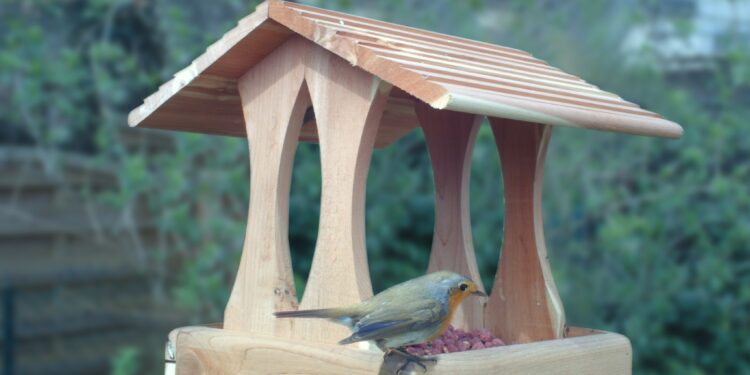 Quelle mangeoire pour mésanges ?