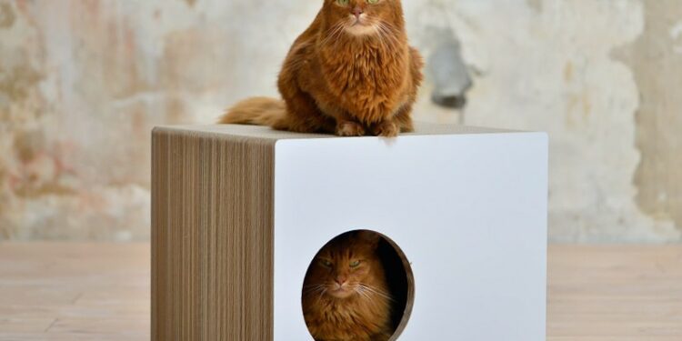 Quelle matière pour griffoir chat ?