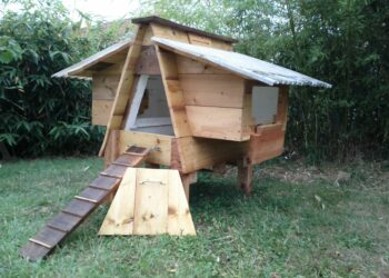 Quelle matière pour un poulailler ?