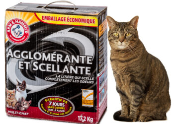 Quelle odeur attire les chats pour faire pipi ?