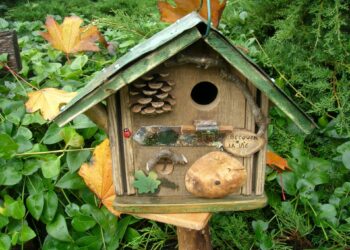 Quelle odeur attire les oiseaux ?