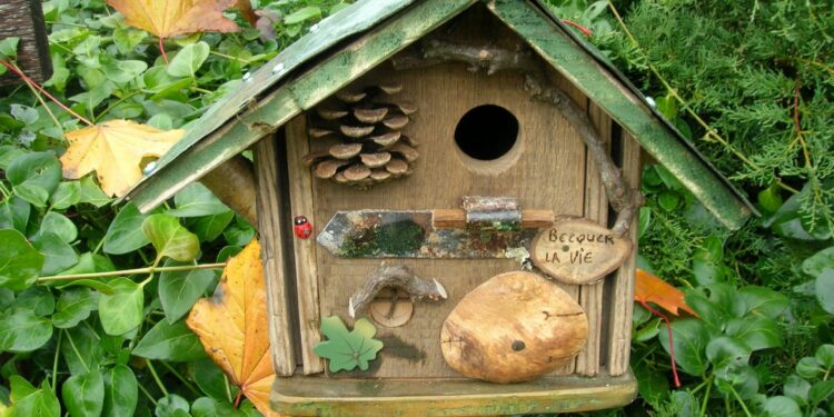 Quelle odeur attire les oiseaux ?