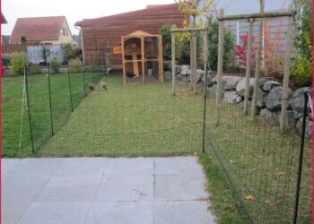 Quelle odeur fait fuir le renard ?