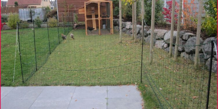 Quelle odeur fait fuir le renard ?