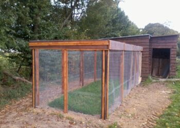 Quelle orientation pour un pigeonnier ?