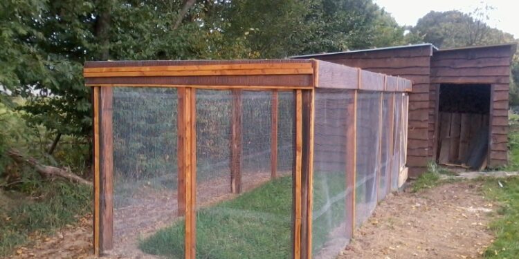 Quelle orientation pour un pigeonnier ?