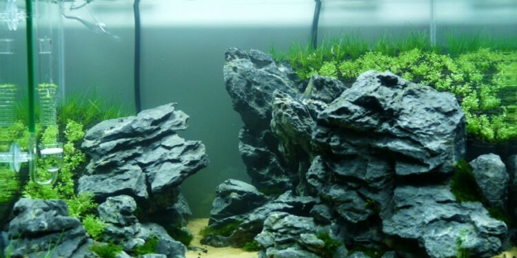 Quelle pierre pour Aquascaping ?
