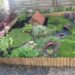 Quelle plante aime les tortue Hermann ?