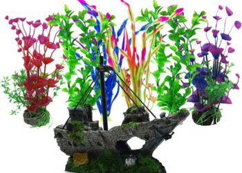 Quelle plante pour aquarium 30L ?