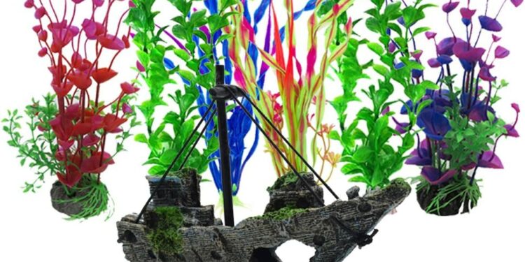 Quelle plante pour aquarium 30L ?