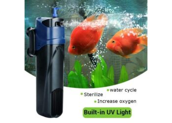 Quelle pompe pour un aquarium ?