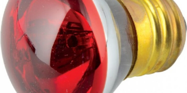 Quelle puissance lampe chauffante ?