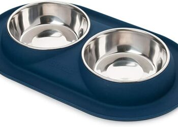 Quelle quantité d'eau par jour pour un chien ?