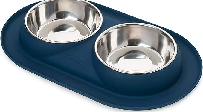 Quelle quantité d'eau par jour pour un chien ?