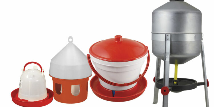 Quelle quantité d'eau pour une poule ?