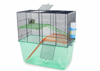 Quelle roue pour gerbille ?