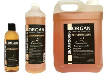 Quelle shampoing prendre quand on a de l'eczéma ?