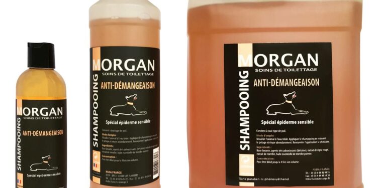 Quelle shampoing prendre quand on a de l'eczéma ?