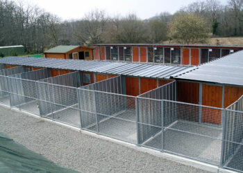 Quelle surface de chenil pour un chien ?