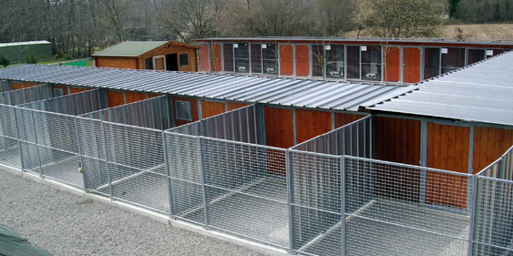 Quelle surface de chenil pour un chien ?