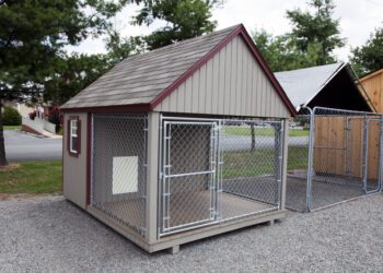 Quelle surface de chenil pour un chien ?