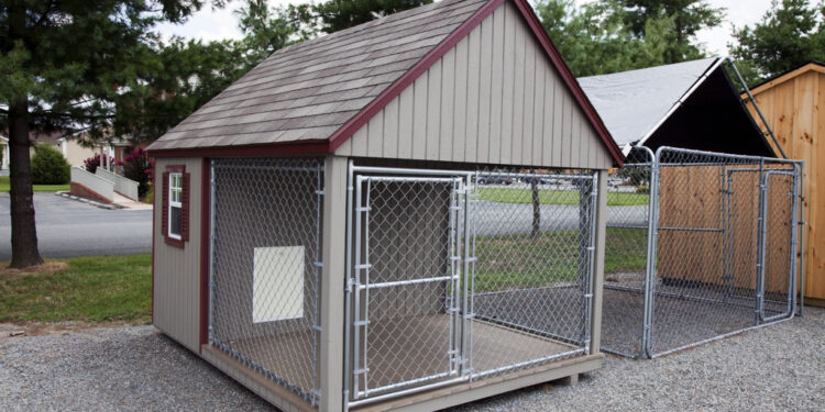 Quelle surface de chenil pour un chien ?