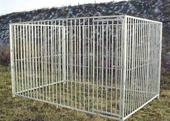 Quelle surface de chenil pour un chien ?