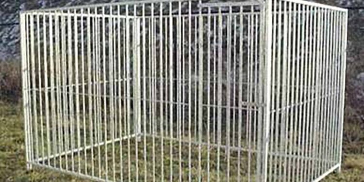 Quelle surface de chenil pour un chien ?