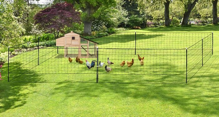 Quelle surface de terrain pour 2 poules ?