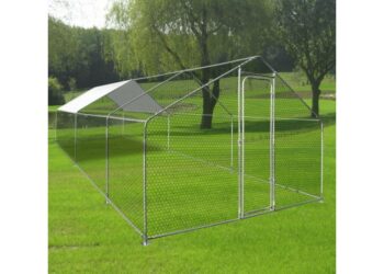 Quelle surface de terrain pour 2 poules ?