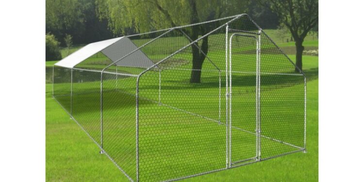 Quelle surface de terrain pour 2 poules ?