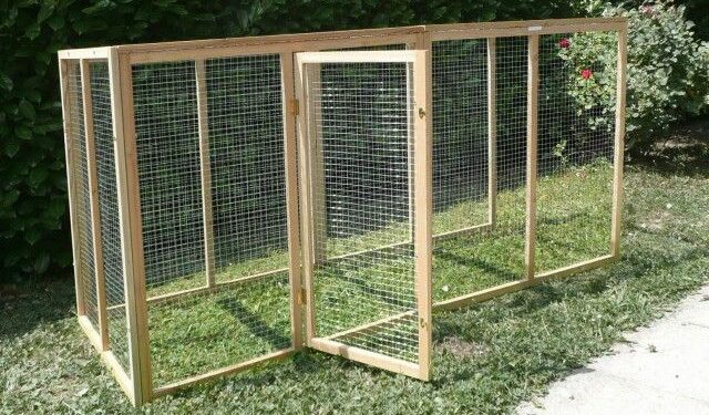 Quelle surface de terrain pour une poule ?