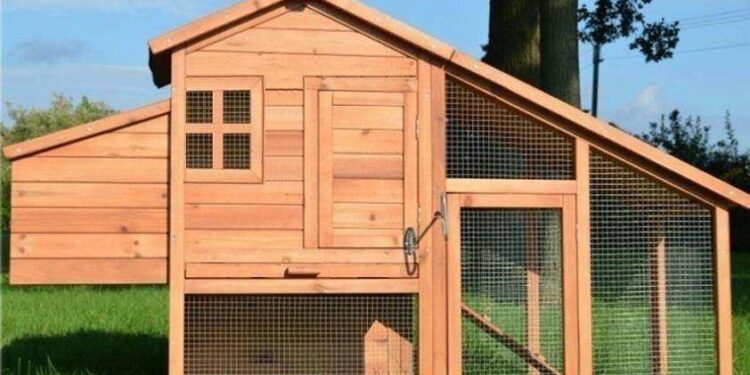 Quelle surface pour 1000 poules ?