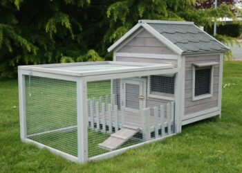 Quelle surface pour 2 lapins ?