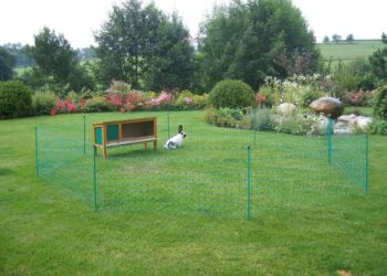 Quelle surface pour 2 lapins ?