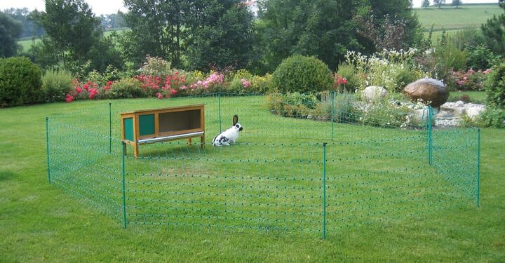 Quelle surface pour 2 lapins ?