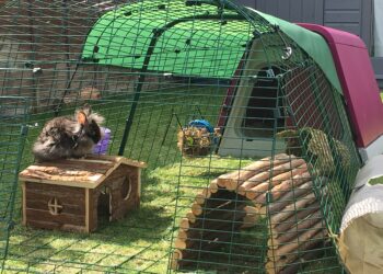 Quelle surface pour 2 lapins ?