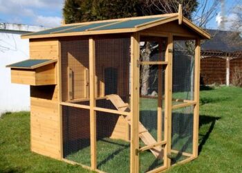 Quelle surface pour 6 poules ?