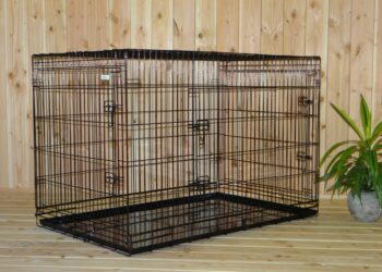 Quelle taille de cage pour berger malinois ?