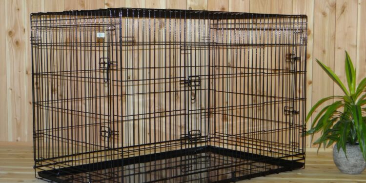 Quelle taille de cage pour berger malinois ?