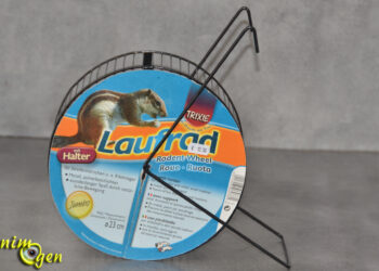 Quelle taille de cage pour octodon ?