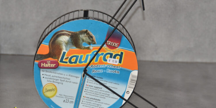 Quelle taille de cage pour octodon ?