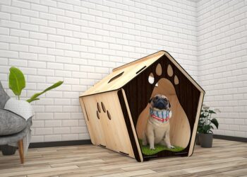 Quelle taille de cage pour un chien de 25 kg ?