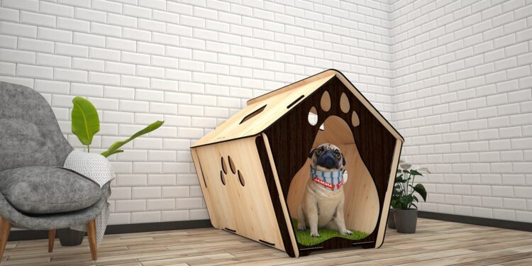 Quelle taille de cage pour un chien de 25 kg ?