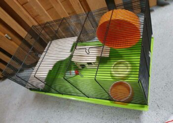Quelle taille de cage pour un hamster ?