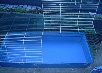 Quelle taille de cage pour un lapin nain ?